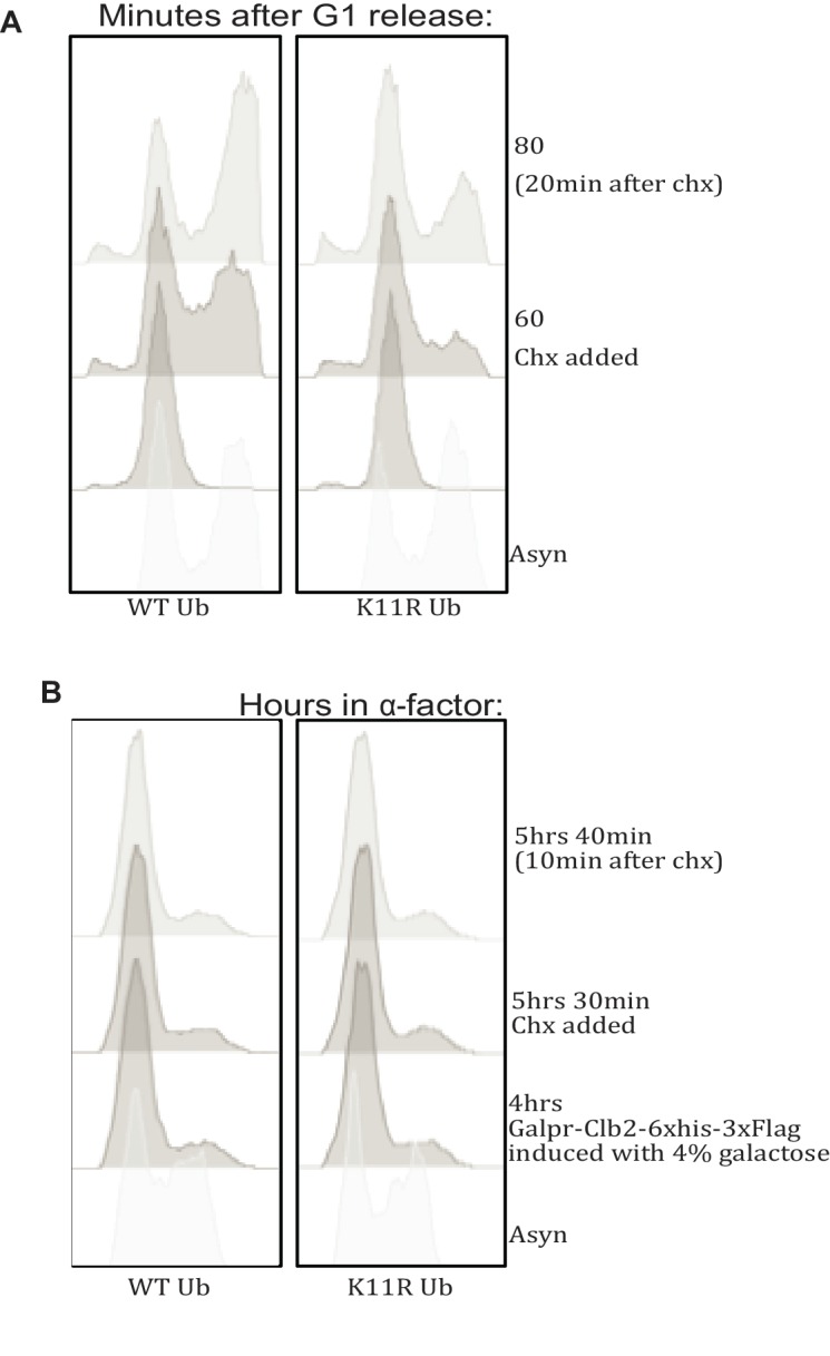 Figure 4—figure supplement 1.