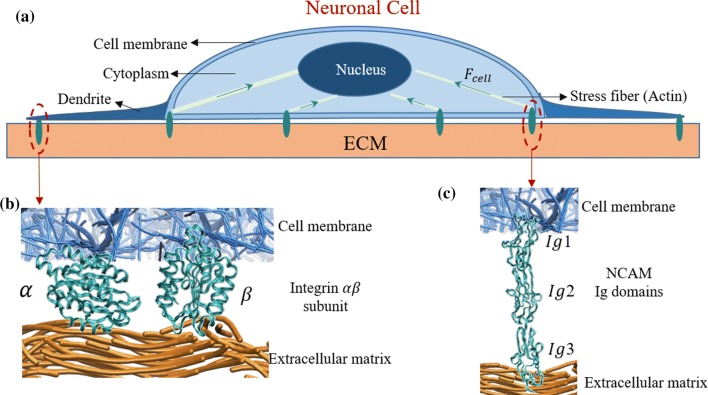 Figure 1