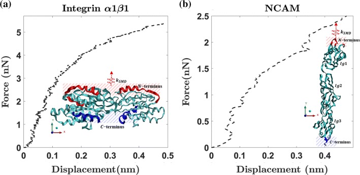 Figure 5