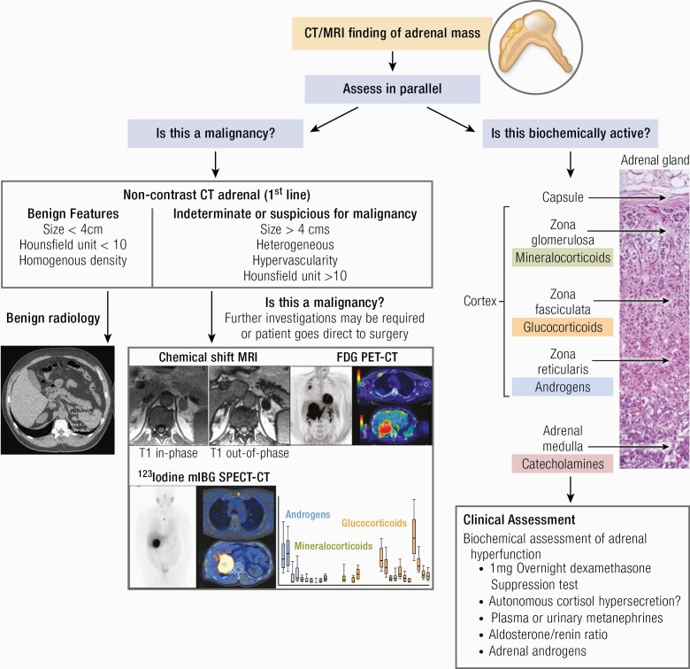 Graphical Abstract