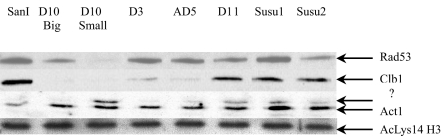 Fig. 5.