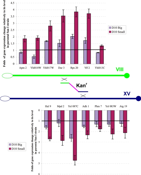 Fig. 3.