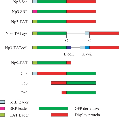 Figure 1.