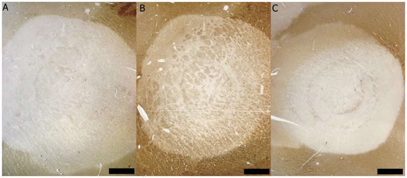 Figure 1-2