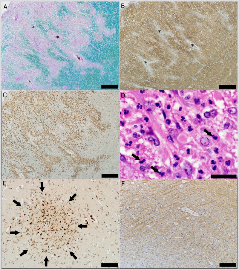 Figure 1-7