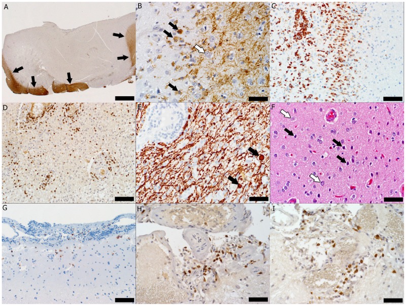 Figure 1-3