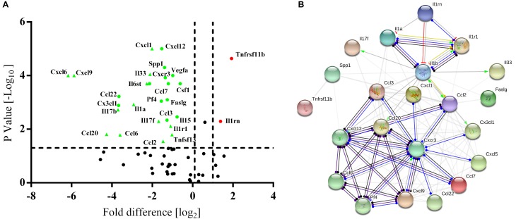 FIGURE 4