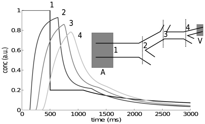 Figure 8