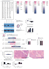 Extended Data Figure 7