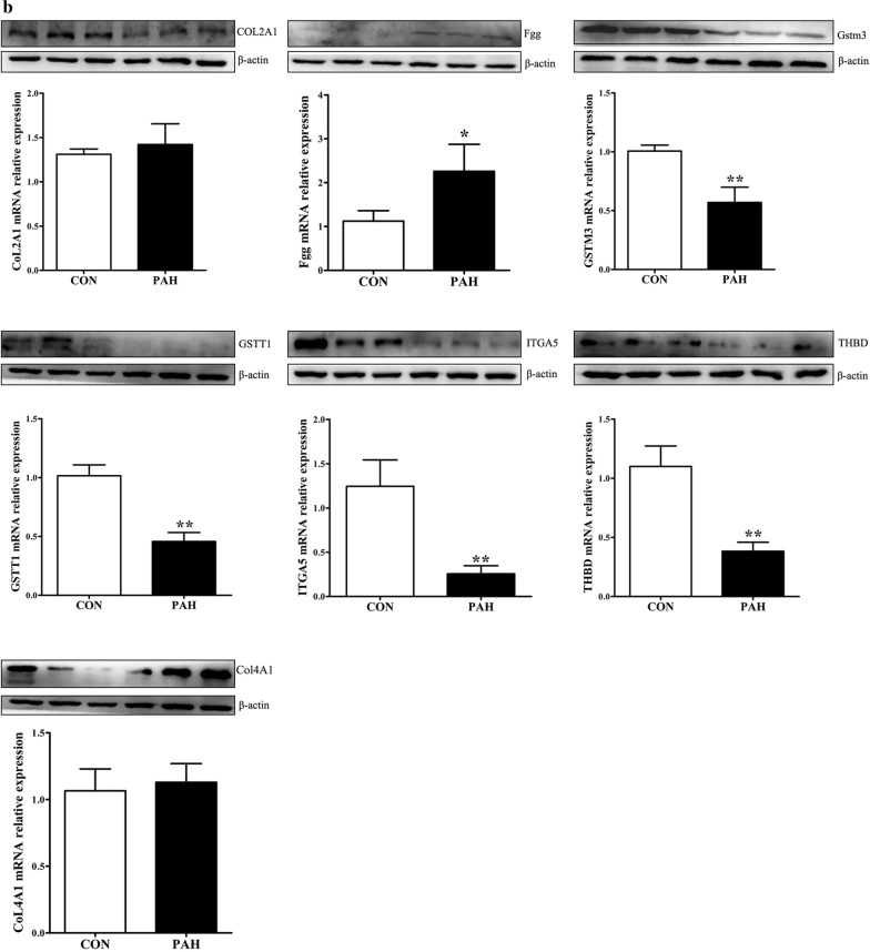 Fig. 6