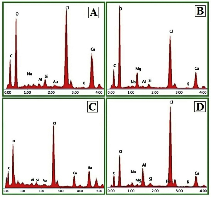 Fig. 8