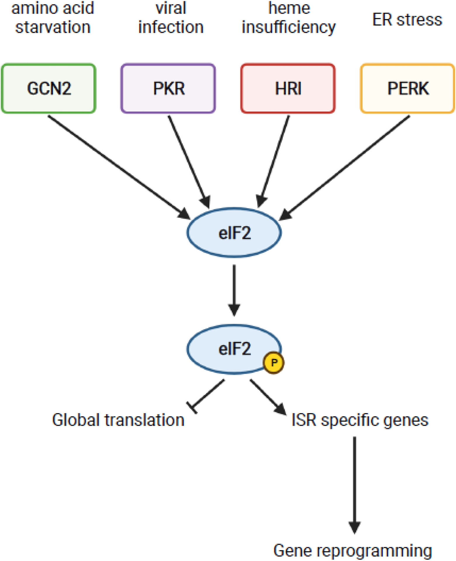 graphic file with name nihms-1745341-f0006.jpg