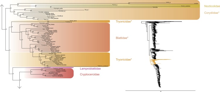 Fig 5