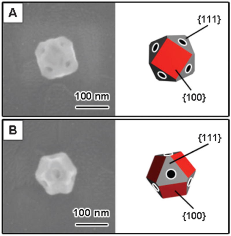 Fig. 10