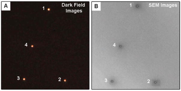 Fig. 8