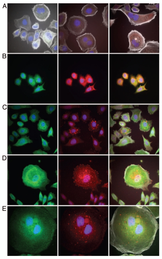 Figure 18