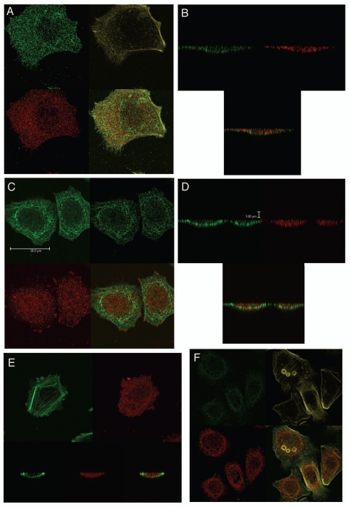 Figure 19