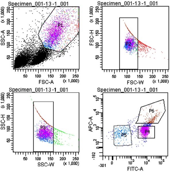 Figure 3.