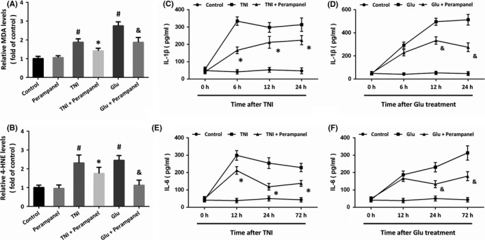 FIGURE 3