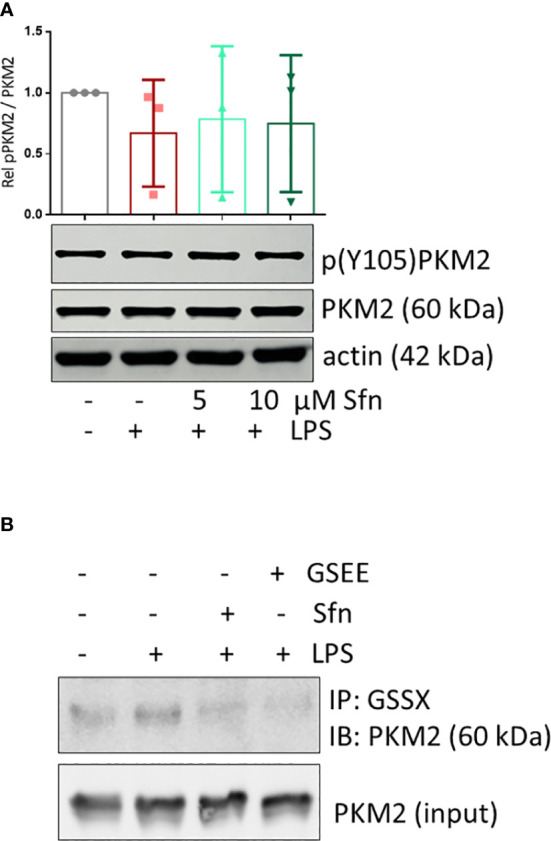 Figure 7