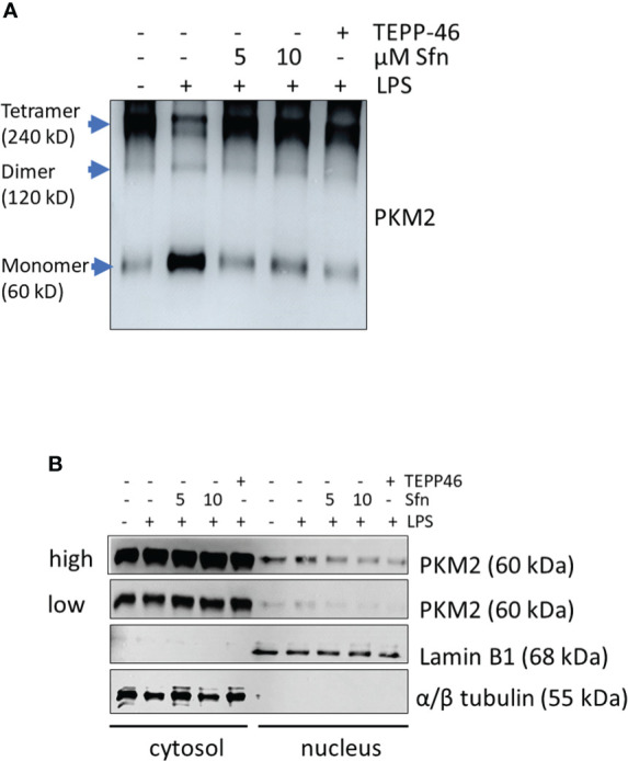 Figure 6