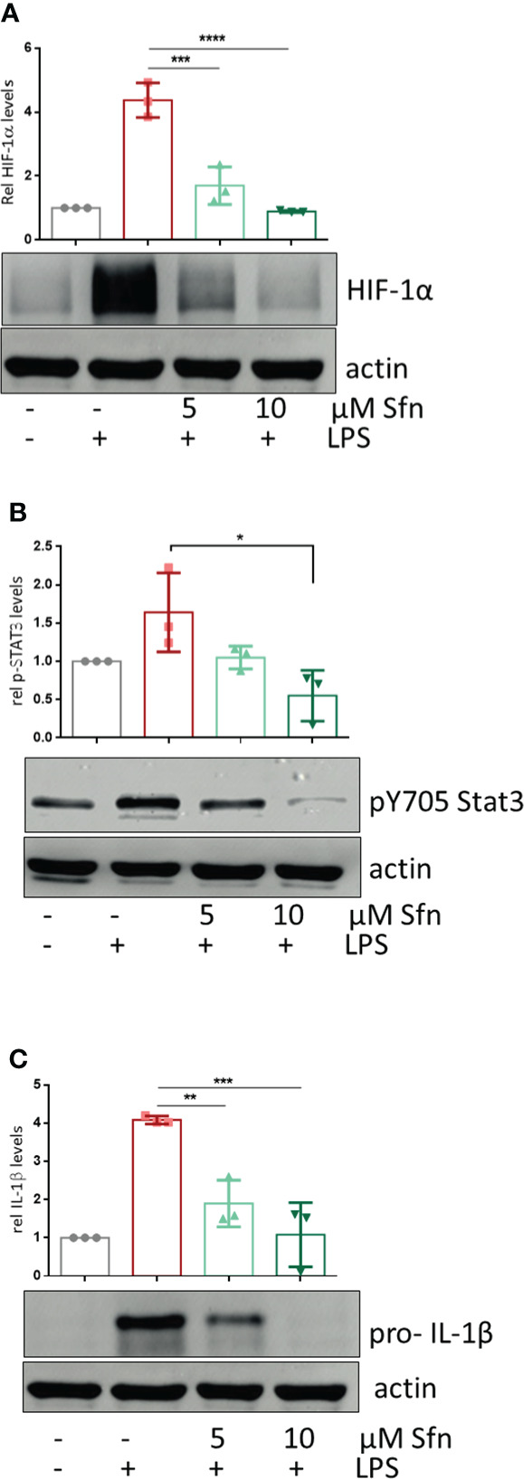 Figure 5