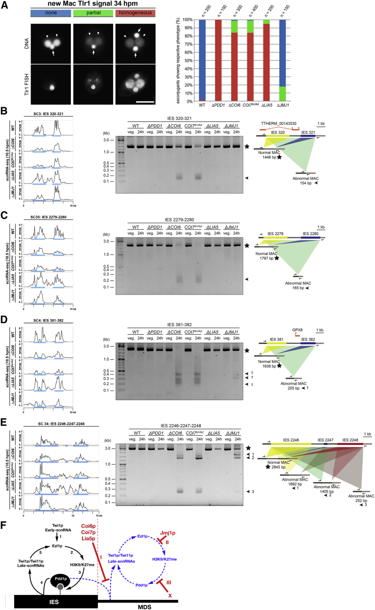 Figure 6