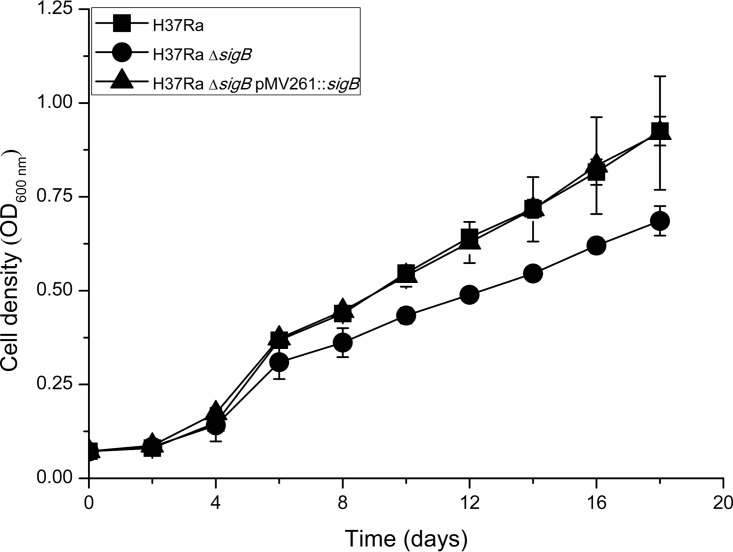 FIG 1