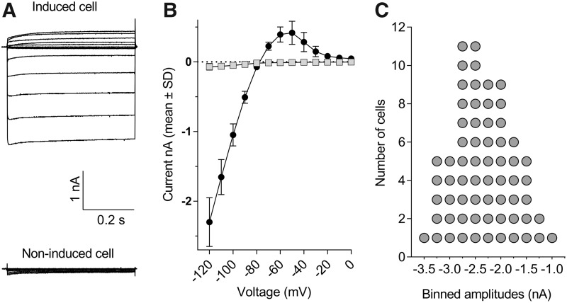 Fig. 1.