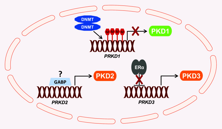 Fig. 2