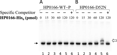 FIG. 7.