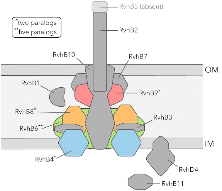 Figure 3.