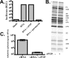 FIG. 9.