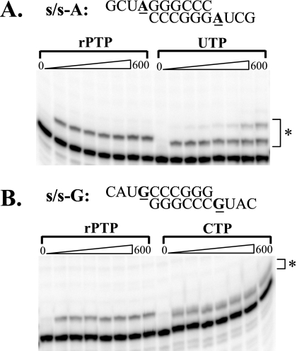 FIG. 5.