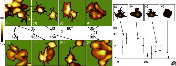 Fig. 3