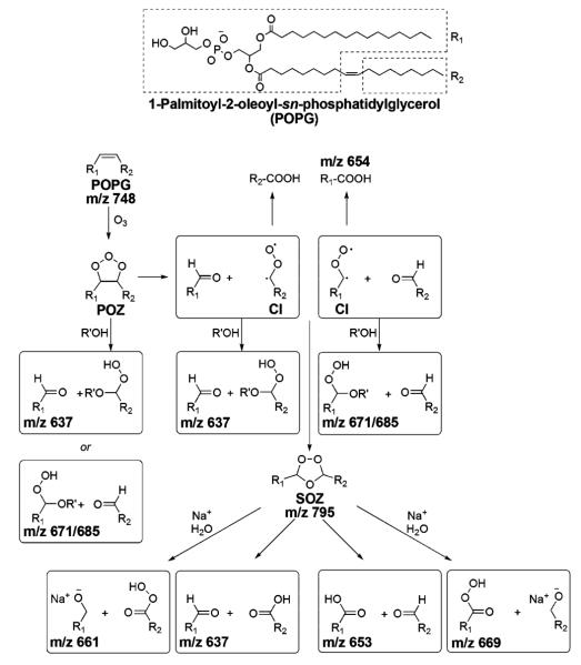 SCHEME 2