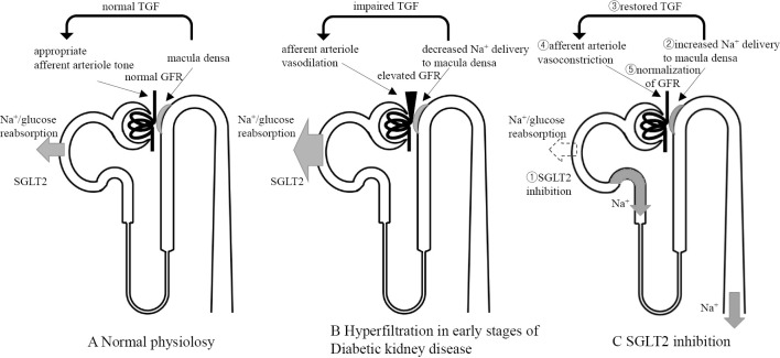 Figure 6.