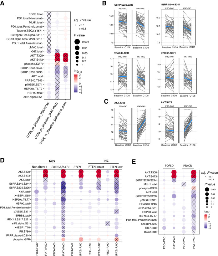 Figure 5. Pharmacodynamic biomarker analysis showing that ipatasertib treatment leads to downregulation of AKT and mTORC1 activities. A, Pharmacodynamic biomarker analysis showing the endpoints with differential expressions at C1D8 compared with its baseline levels in the PBO+PAC arm, IPAT+PAC arm, and the difference between the two arms. B, Downregulation of S6RP 235/236, S6RP S240/244, PRAS40 T246, and p70S6K S371 levels from baseline to C1D8 in the IPAT+PAC arm. C, Upregulation of AKT T308 and AKT S473 levels from baseline to C1D8 in the IPAT+PAC arm. D, The changes in phosphoprotein markers are more pronounced among the PIK3CA/AKT1/PTEN-altered (NGS) and PTEN-low (IHC) subgroups. E, The changes in phosphoprotein markers are more pronounced among responders (CR or PR) compared with nonresponders (PD or SD). Adj., adjusted; PD, progressive disease; SD, stable disease.