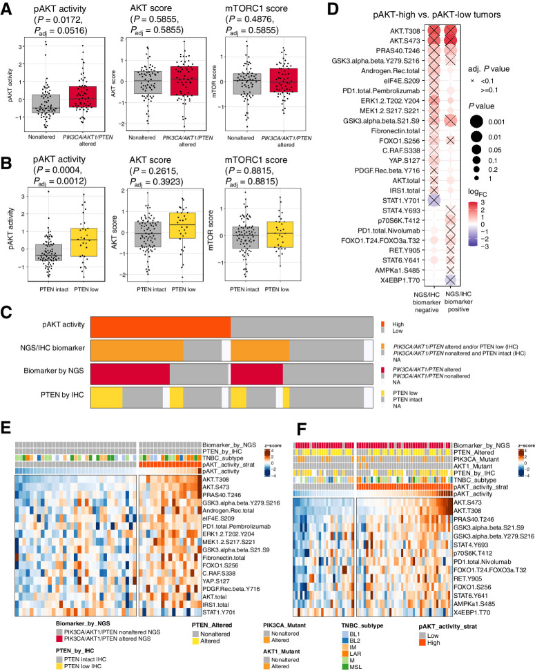 Figure 2. pAKT levels are modulated by PI3K/AKT pathway alterations and additional cell signaling activities. Boxplot showing the levels of pAKT activity, AKT score, and mTORC1 scores in PIK3CA/AKT1/PTEN-nonaltered compared with -altered tumors assessed by NGS in A, and in PTEN-intact compared with PTEN-loss tumors assessed by IHC in B. C, Tile plot showing the overlap of pAKT activity, the status of PIK3CA/AKT1/PTEN alteration by NGS, and PTEN expression by IHC. D, Differential expression analysis between pAKT-high and pAKT-low tumors, stratified by the status of PI3K/AKT pathway biomarkers assessed by NGS and IHC. NGS/IHC biomarker negative: PIK3CA/AKT1/PTEN nonaltered and PTEN intact; NGS/IHC biomarker positive: PIK3CA/AKT1/PTEN altered and/or PTEN low. Heat maps showing the differentially expressed endpoints comparing pAKT-high and pAKT-low tumors (adjusted P value < 0.1), in NGS/IHC biomarker–negative (E) and NGS/IHC biomarker–positive (F) samples, respectively. pAKT_activity_strat, stratifying pAKT activity using a median cut point. TNBC subtypes include: basal-like 1 (BL1); basal-like 2 (BL2); immunomodulatory (IM); LAR; mesenchymal (M); mesenchymal stem–like (MSL). Adj., adjusted.