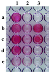 FIG. 1