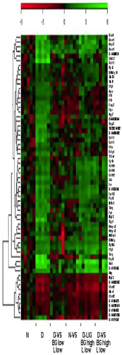 Fig 8