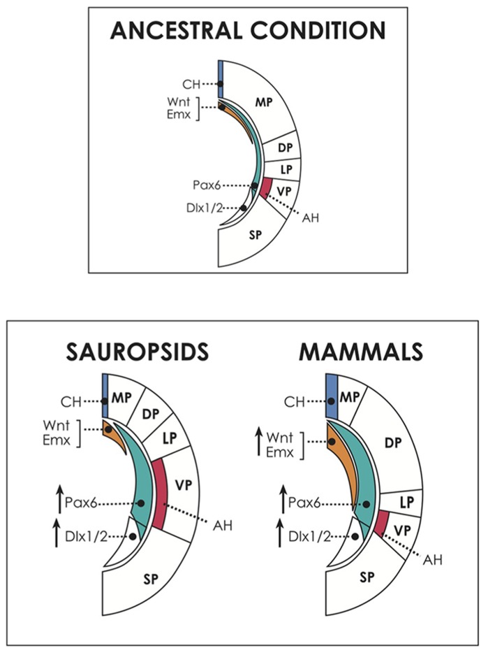 FIGURE 3