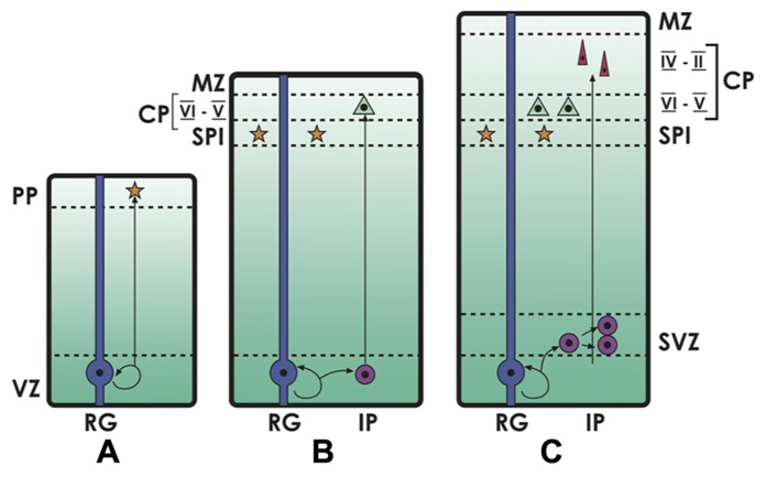 FIGURE 1