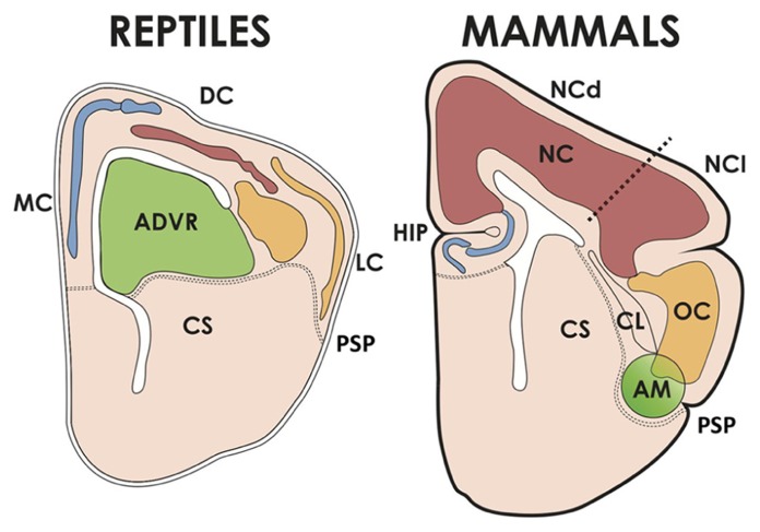 FIGURE 2