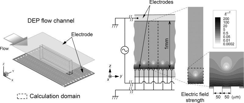 FIG. 1.