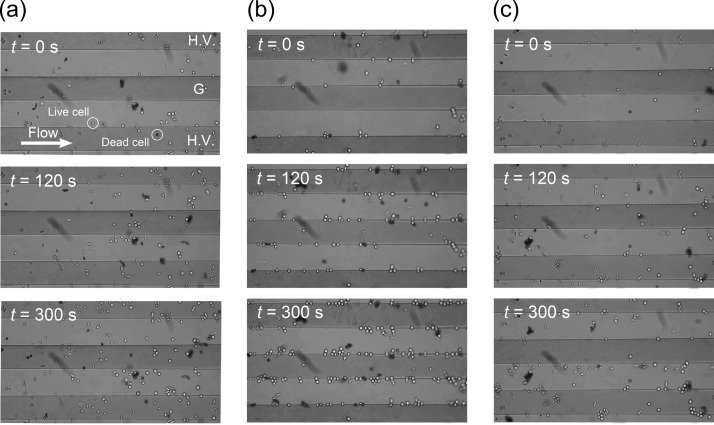 FIG. 7.