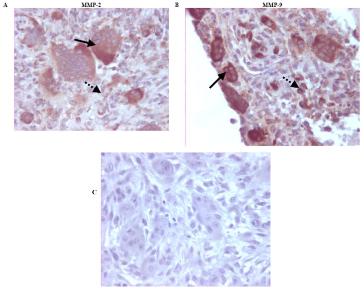 Fig. (1)