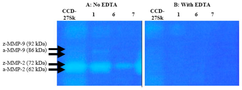 Fig. (4)