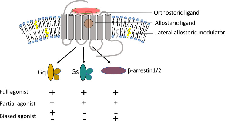 Figure 1