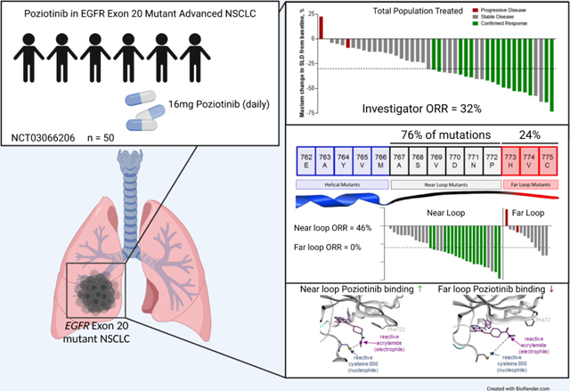 Poziotinib for EGFR exon 20 mutant NSCLC: clinical efficacy, resistance ...